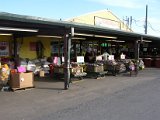 Canino Farmers Market 2520 Airline  (4).JPG